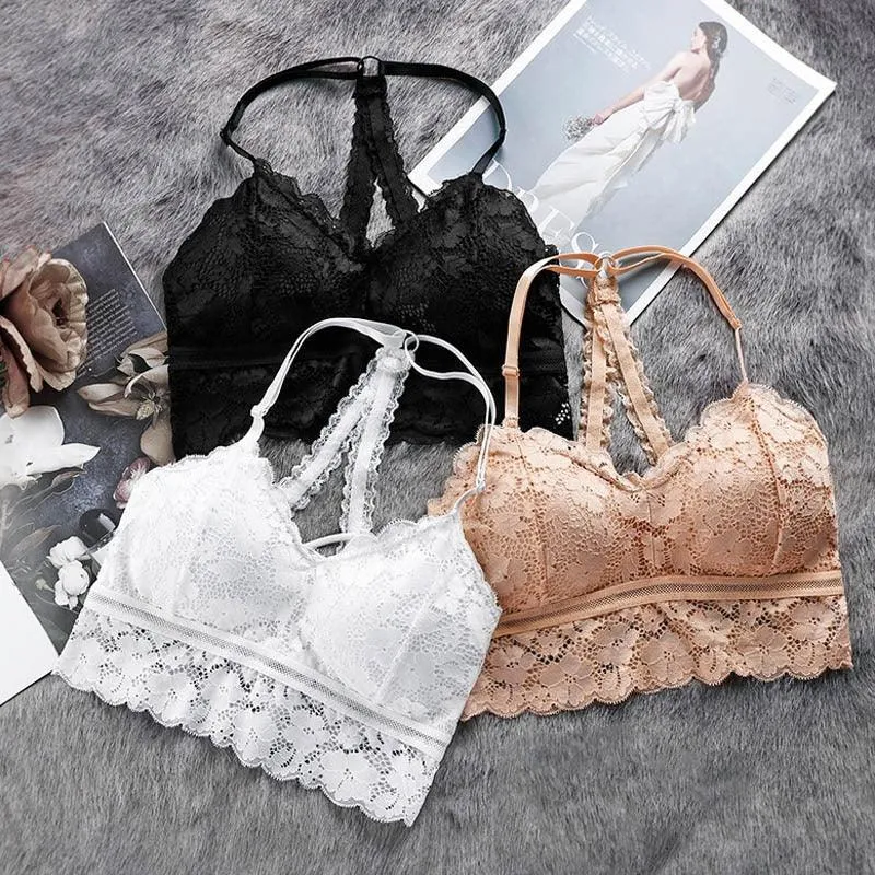 Back Lace Add-Pad Bra  Comfortable and Stylish Lace Bra