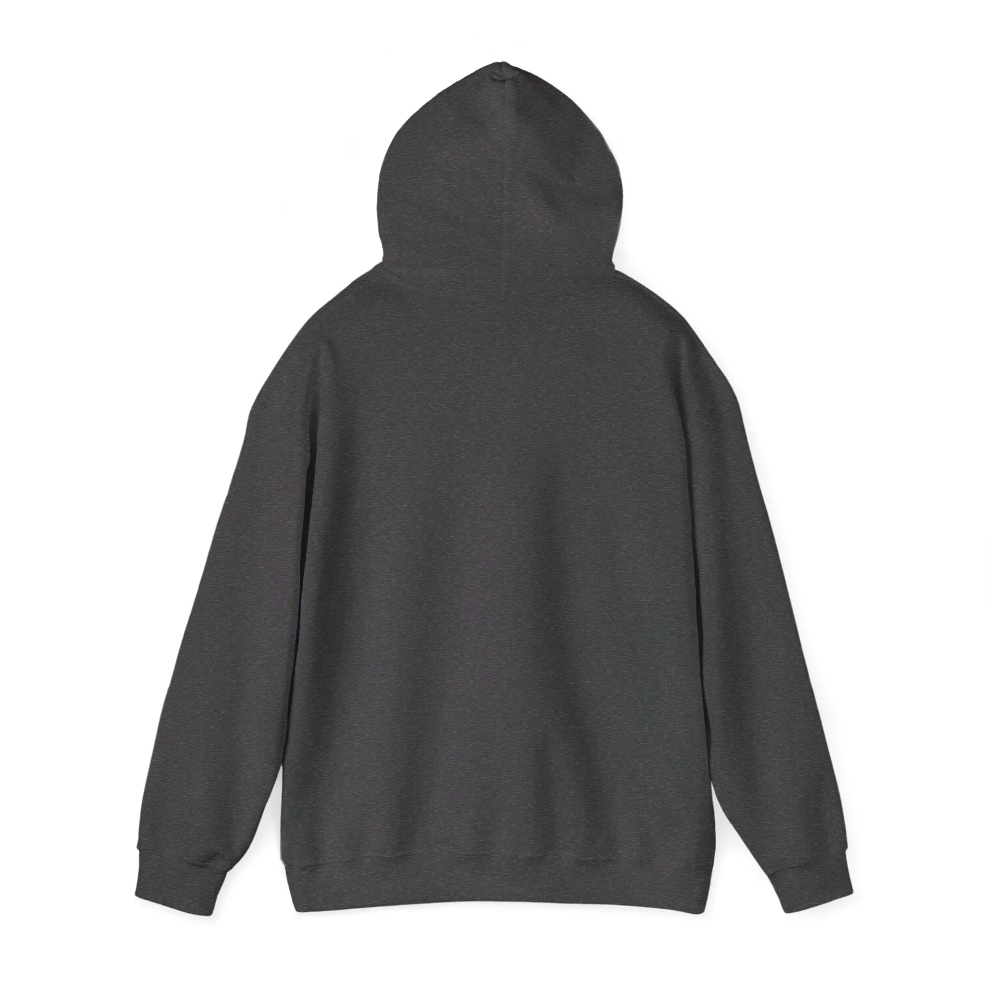 Scholar & Scribe Book Club Unisex Heavy Blend™ Hooded Sweatshirt